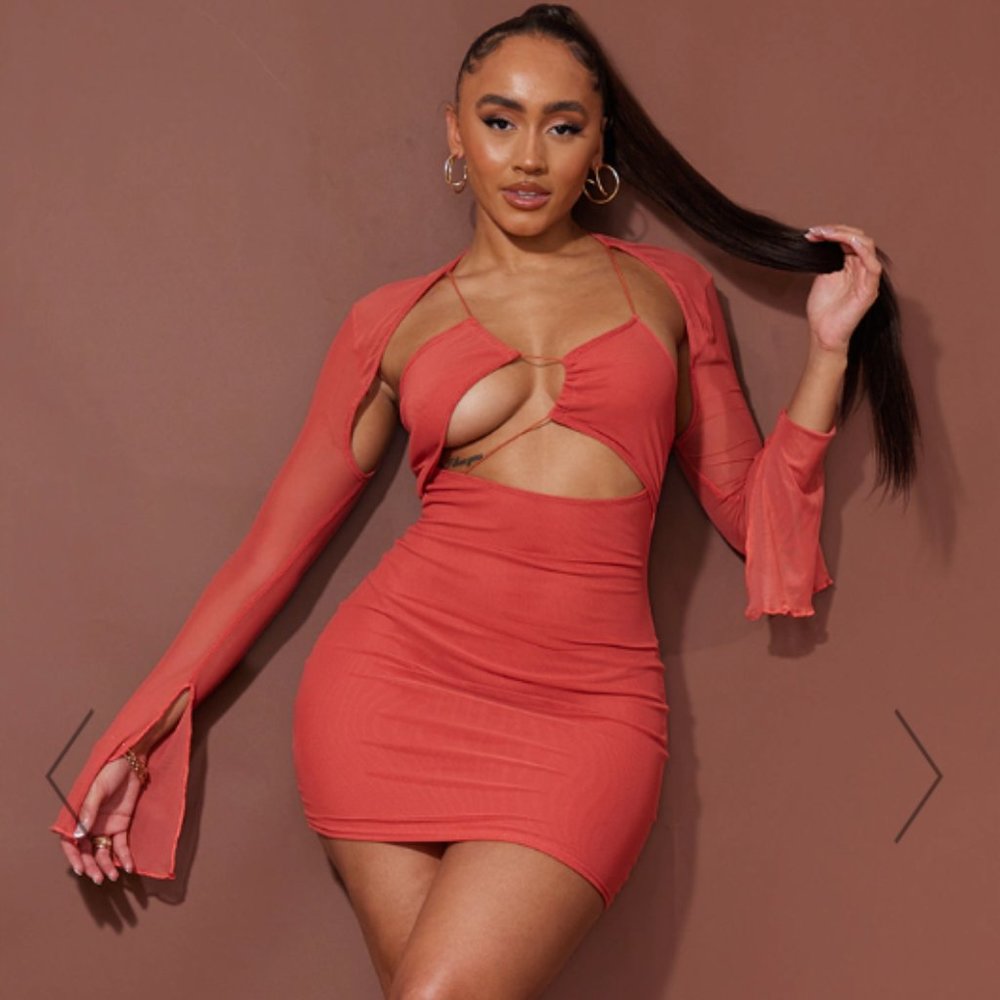 Share    SHAPE OVERLAY BODYCON DRESS